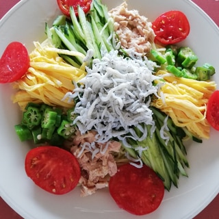 しらすと、シーチキン、卵と夏野菜冷麺